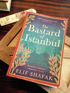 Elif book cover one